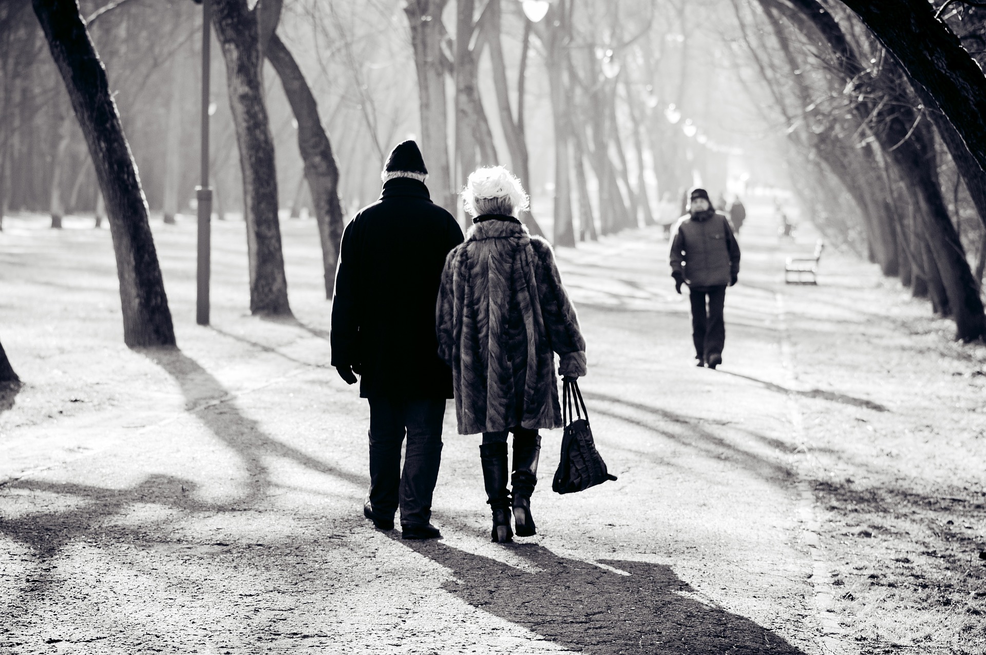 rencontres entre seniors à Lille