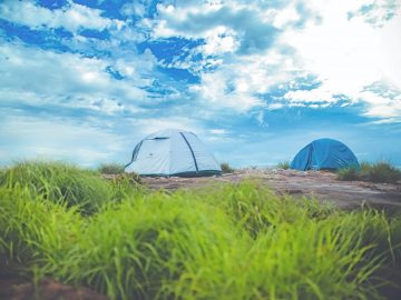 tentes dans une prairie