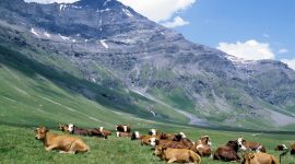 tour-de-la-vanoise