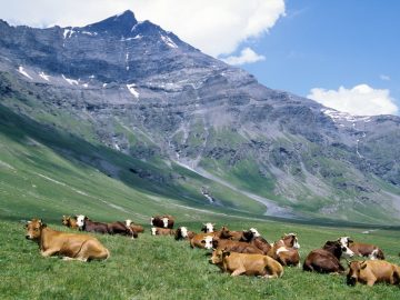 tour-de-la-vanoise