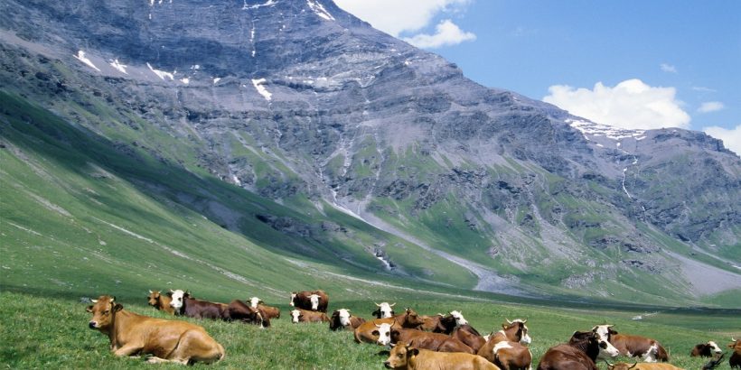 tour-de-la-vanoise