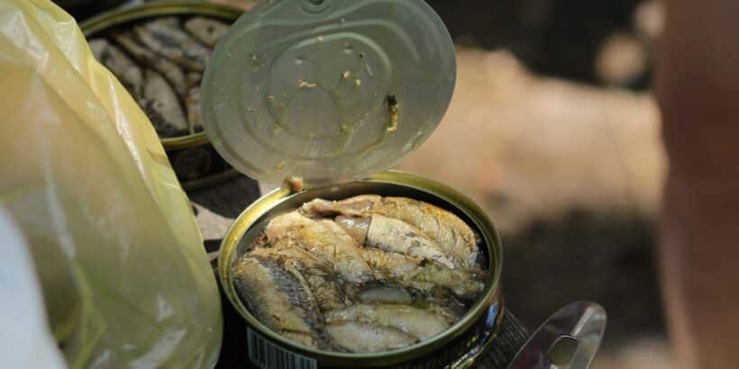 différences conserves de poissons